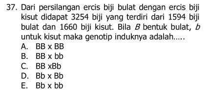 Dari persilangan ercis biji bulat dengan ercis biji
kisut didapat 3254 biji yang terdiri dari 1594 biji
bulat dan 1660 biji kisut. Bila B bentuk bulat, b
untuk kisut maka genotip induknya adalah.....
A. BB* BB
B. BB* bb
C. BB* Bb
D. Bb* Bb
E. Bb* bb