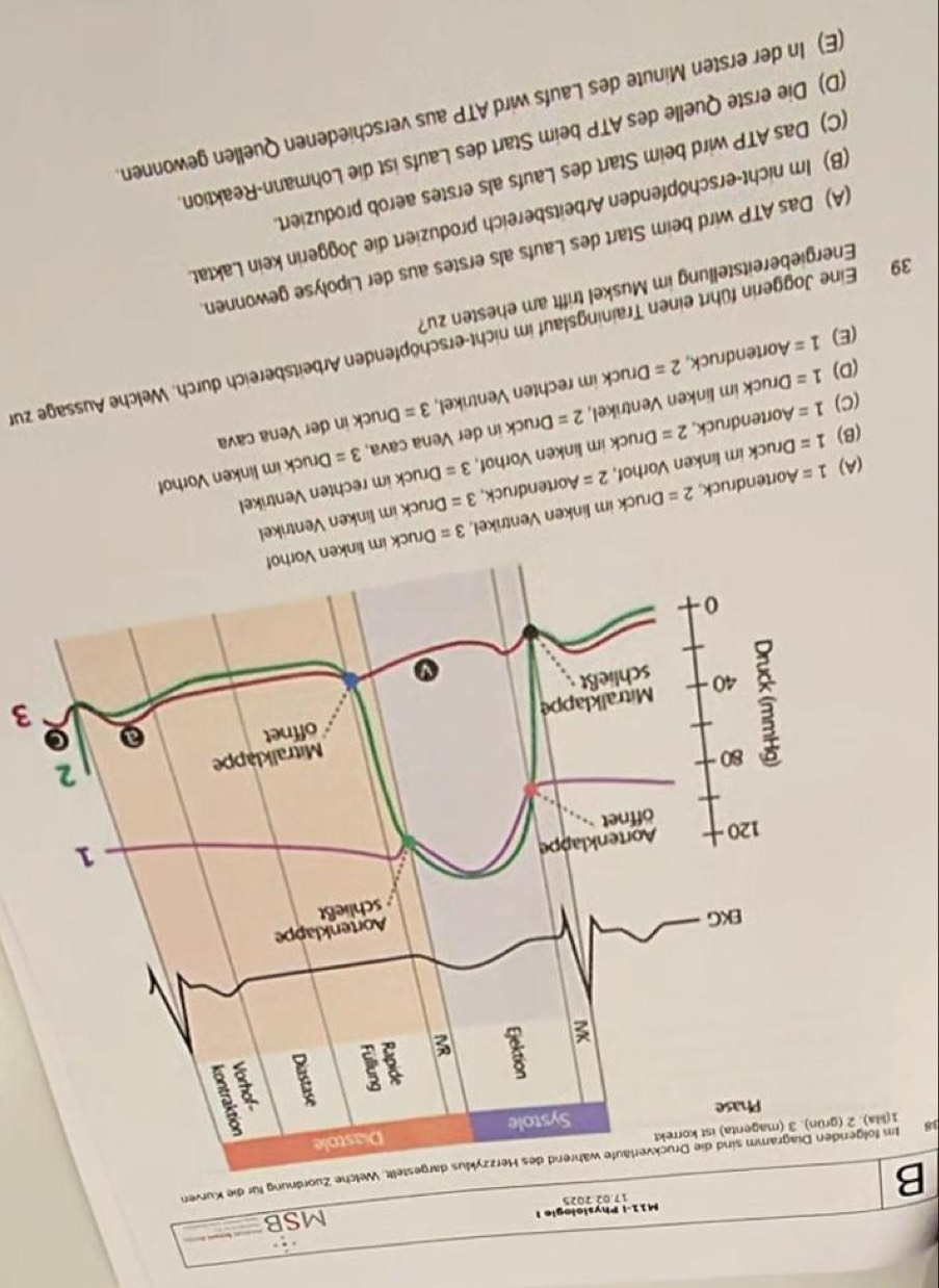 M11-i Physiologie |
B 17.02 2025 MSB
18 Im folgerde Zuordnung für die Kurven
1(lla). 2 (g
3
3=
(A) 1= Aortendruck, 2= Druck im linken Ventrikel, Druck i
3=
(B) 1= Druck im linken Vorhof, 2= Aortendruck, Druck im linken Ventrikel
3=
3= Druck im linken Vorhof
(C) 1= Aortendruck, 2= Druck im linken Vorhof, Druck im rechten Ventrikel
3= Druck in der Vena cava
(D) 1= Druck im linken Ventrikel, 2= Druck in der Vena cava,
(E) 1= Aortendruck, 2= Druck im rechten Ventrikel,
39 Eine Joggerin führt einen Trainingslauf im nicht-erschöpfenden Arbeitsbereich durch. Welche Aussage zur
Energiebereitstellung im Muskel trifft am ehesten zu?
(A) Das ATP wird beim Start des Laufs als erstes aus der Lipolyse gewonnen.
(B) Im nicht-erschöpfenden Arbeitsbereich produziert die Joggerin kein Laktat.
(C) Das ATP wird beim Start des Laufs als erstes aerob produziert.
(D) Die erste Quelle des ATP beim Start des Laufs ist die Lohmann-Reaktion
(E) In der ersten Minute des Laufs wird ATP aus verschiedenen Quellen gewonnen.