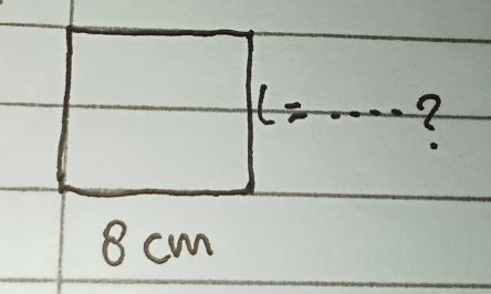 l=
8 cm