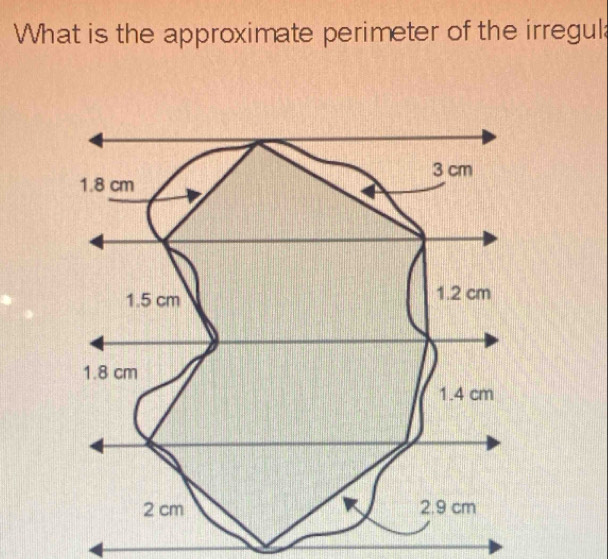 What is the approximate perimeter of the irregul