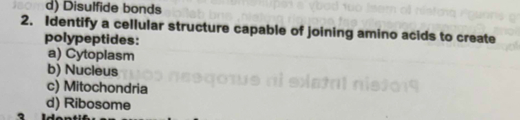 d) Disulfide bonds
2. Identify a cellular structure capable of joining amino acids to create
polypeptides:
a) Cytoplasm
b) Nucleus
c) Mitochondria
d) Ribosome