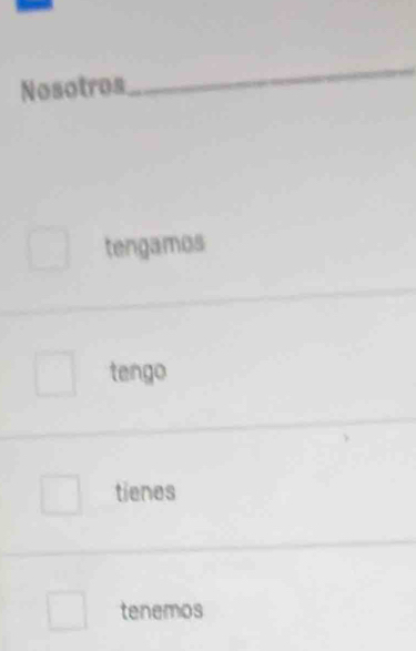 Nosotros 
_ 
tengamos 
tengo 
tienes 
tenemos