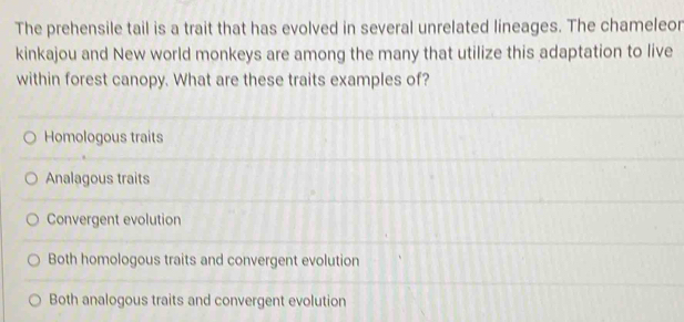 The prehensile tail is a trait that has evolved in several unrelated lineages. The chameleor
kinkajou and New world monkeys are among the many that utilize this adaptation to live
within forest canopy. What are these traits examples of?
Homologous traits
Analagous traits
Convergent evolution
Both homologous traits and convergent evolution
Both analogous traits and convergent evolution