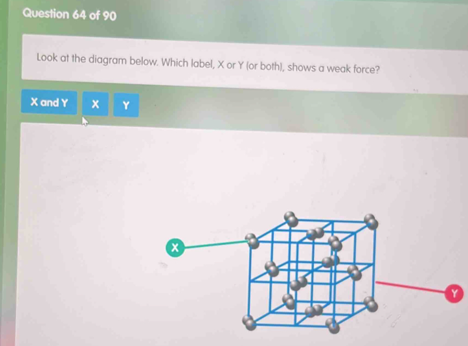 Look at the diagram below. Which label, X or Y (or both), shows a weak force?
X and Y x Y