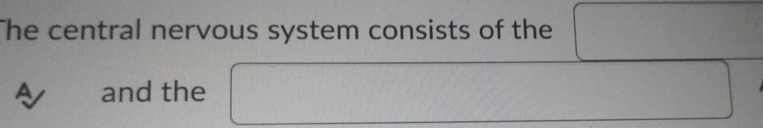 The central nervous system consists of the 
a 
and the