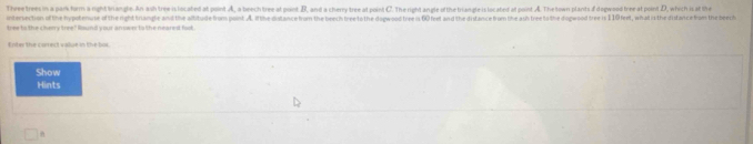 Three trees in a park firm a right briangl. An ash tree is located at point A, a beech tree at point B, and a cherry tree at point C. The right angle of the triangle is located at point A. The town plants d dogwood tree at point D, which is at the 
intersection of the hypotenuse of the right triangle and the altitud hom pont A. ifthe dstance hom the beech tree to the dopwood tree is G feet and the distance from the ash tree ta the dogwood tre is 11 feet, what is the disfanc e from the beech 
tree to the chery tree" Round your answe ta the neared faok 
Show 
Hints