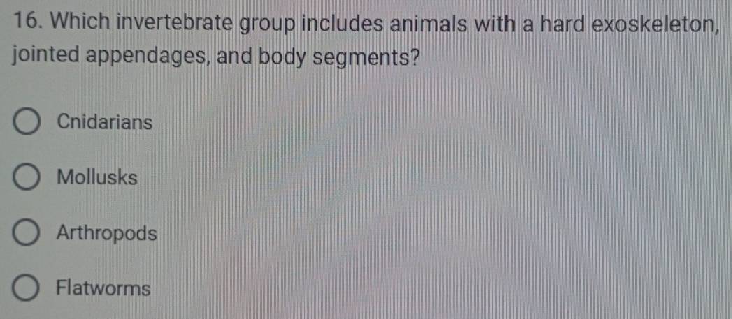 Which invertebrate group includes animals with a hard exoskeleton,
jointed appendages, and body segments?
Cnidarians
Mollusks
Arthropods
Flatworms