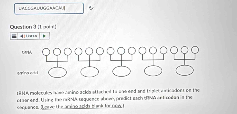 UACCGAUUGGAACAU| 
Question 3 (1 point) 
Listen 
tRNA molecules have amino acids attached to one end and triplet anticodons on the 
other end. Using the mRNA sequence above, predict each tRNA anticodon in the 
sequence. (Leave the amino acids blank for now.)