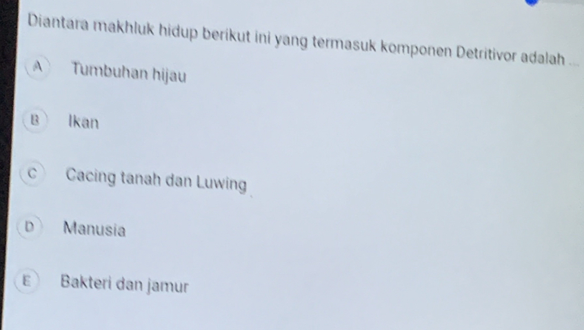 Diantara makhluk hidup berikut ini yang termasuk komponen Detritivor adalah ...
A Tumbuhan hijau
B lkan
c Cacing tanah dan Luwing
D Manusia
E Bakteri dan jamur