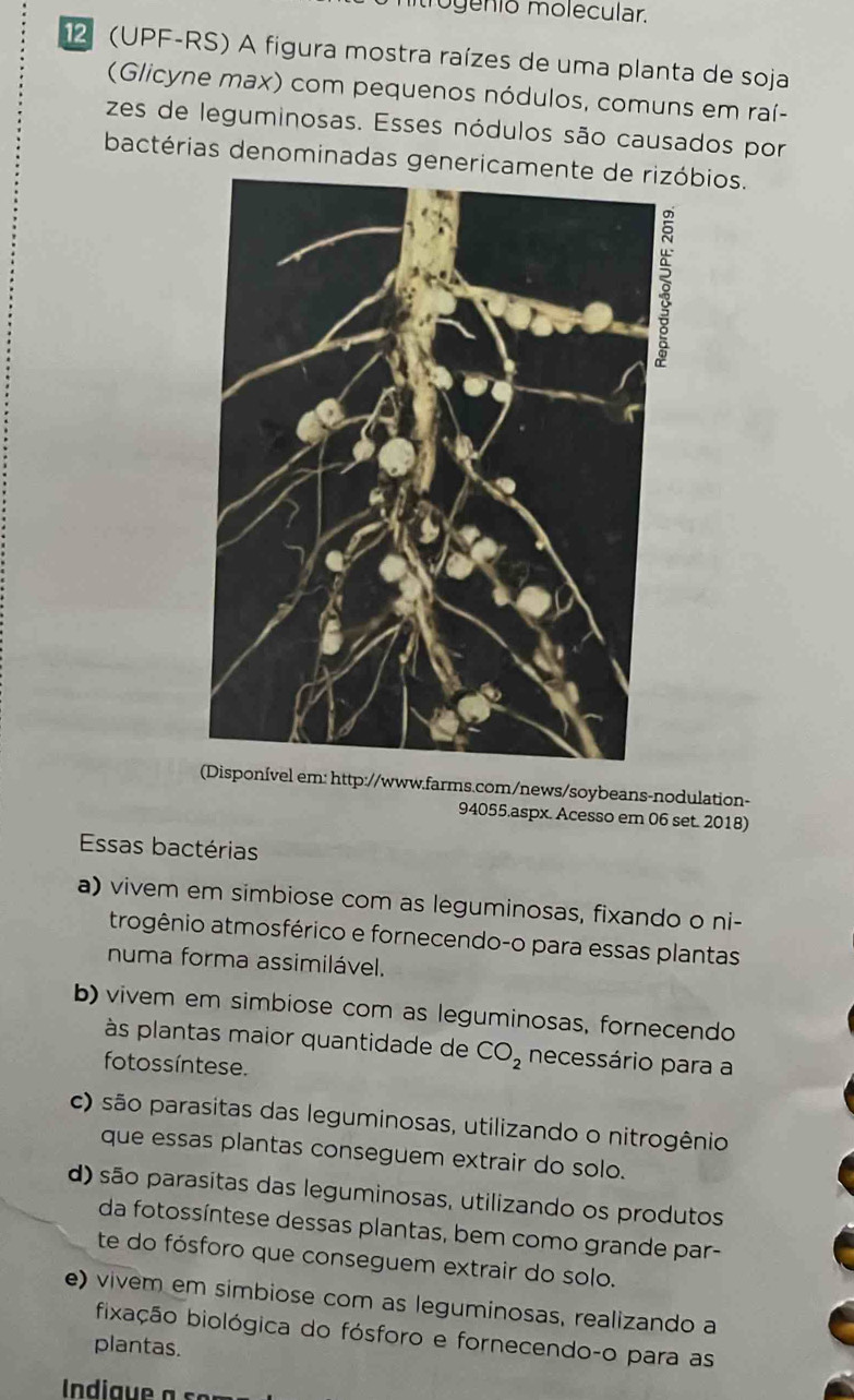 trogenio molecular.
2 (UPF-RS) A figura mostra raízes de uma planta de soja
(Glicyne max) com pequenos nódulos, comuns em raí-
zes de leguminosas. Esses nódulos são causados por
bactérias denominadas genericamente de rizóbios.
(Disponível em: http://www.farms.com/news/soybeans-nodulation-
94055.aspx. Acesso em 06 set. 2018)
Essas bactérias
a) vivem em simbiose com as leguminosas, fixando o ni-
trogênio atmosférico e fornecendo-o para essas plantas
numa forma assimilável.
b) vivem em simbiose com as leguminosas, fornecendo
às plantas maior quantidade de CO_2 necessário para a
fotoss íntese.
c) são parasitas das leguminosas, utilizando o nitrogênio
que essas plantas conseguem extrair do solo.
d) são parasitas das leguminosas, utilizando os produtos
da fotossíntese dessas plantas, bem como grande par-
te do fósforo que conseguem extrair do solo.
e) vivem em simbiose com as leguminosas, realizando a
fixação biológica do fósforo e fornecendo-o para as
plantas.