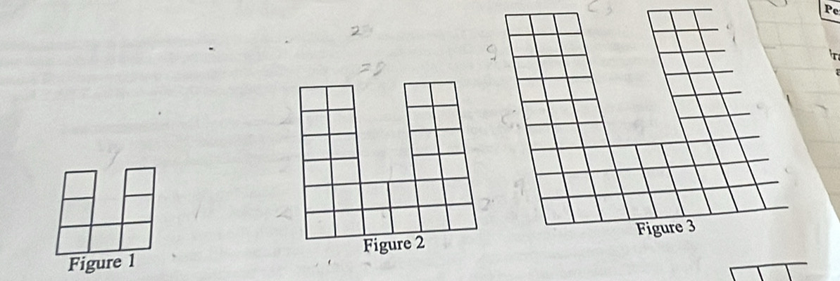 Pe 
Figure 1