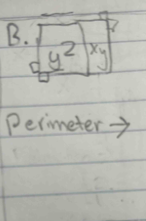 y^2 X_1
Perimeter