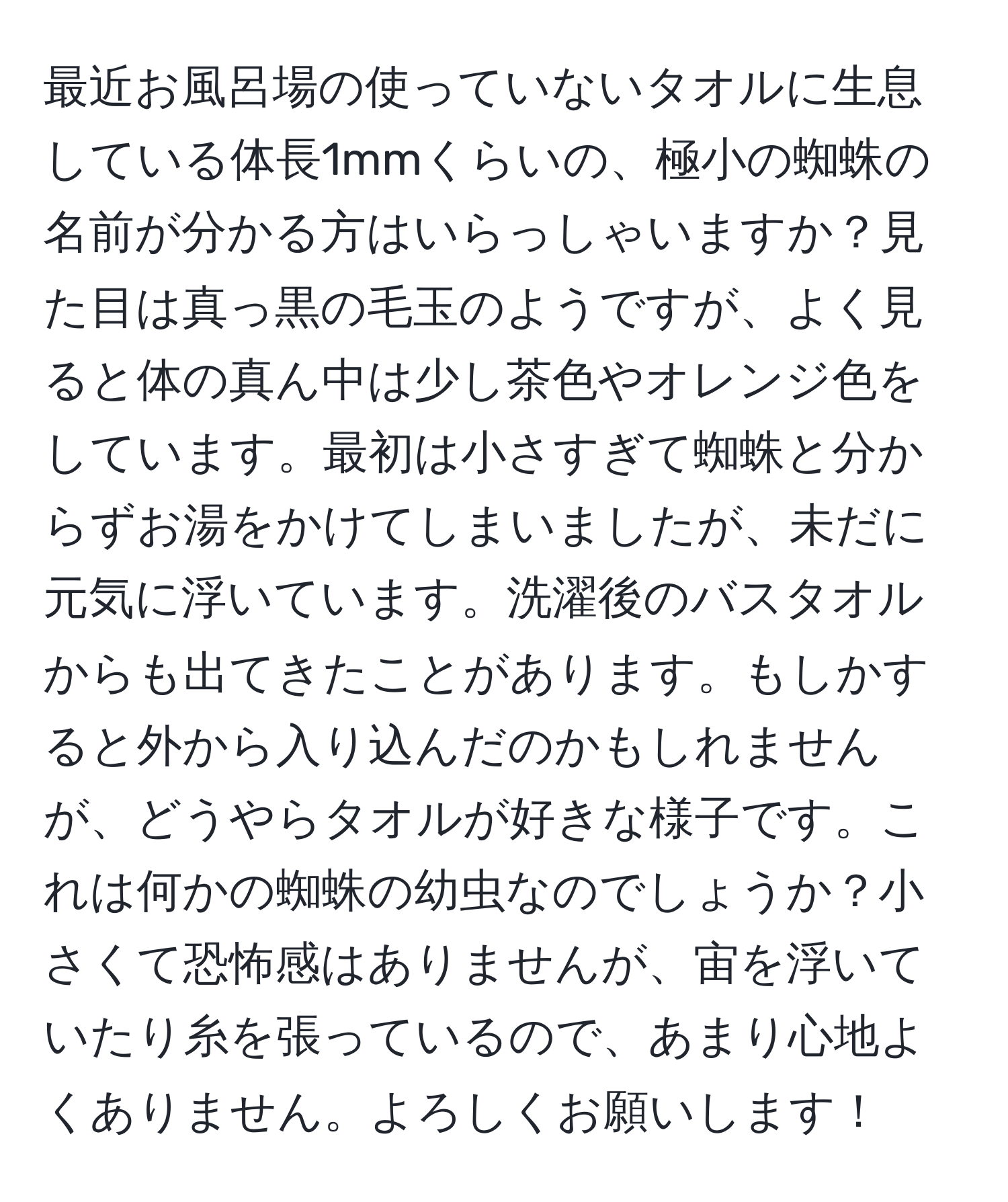 最近お風呂場の使っていないタオルに生息している体長1mmくらいの、極小の蜘蛛の名前が分かる方はいらっしゃいますか？見た目は真っ黒の毛玉のようですが、よく見ると体の真ん中は少し茶色やオレンジ色をしています。最初は小さすぎて蜘蛛と分からずお湯をかけてしまいましたが、未だに元気に浮いています。洗濯後のバスタオルからも出てきたことがあります。もしかすると外から入り込んだのかもしれませんが、どうやらタオルが好きな様子です。これは何かの蜘蛛の幼虫なのでしょうか？小さくて恐怖感はありませんが、宙を浮いていたり糸を張っているので、あまり心地よくありません。よろしくお願いします！