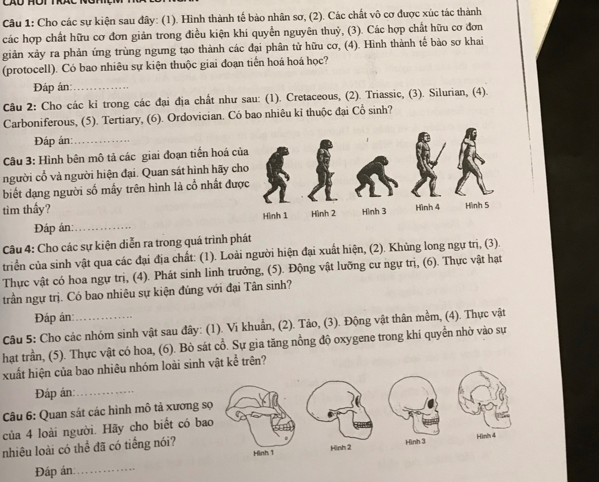 Cho các sự kiện sau đây: (1). Hình thành tế bào nhân sơ, (2). Các chất vô cơ được xúc tác thành
các hợp chất hữu cơ đơn giản trong điều kiện khí quyền nguyên thuỷ, (3). Các hợp chất hữu cơ đơn
giản xảy ra phản ứng trùng ngưng tạo thành các đại phân tử hữu cơ, (4). Hình thành tế bào sơ khai
(protocell). Có bao nhiêu sự kiện thuộc giai đoạn tiến hoá hoá học?
Đáp án:_
Câu 2: Cho các kỉ trong các đại địa chất như sau: (1). Cretaceous, (2). Triassic, (3). Silurian, (4).
Carboniferous, (5). Tertiary, (6). Ordovician. Có bao nhiêu kỉ thuộc đại Cổ sinh?
Đáp án:_
Câu 3: Hình bên mô tả các giai đoạn tiến hoá củ
người cổ và người hiện đại. Quan sát hình hãy ch
biết dạng người số mấy trên hình là cổ nhất đượ
tìm thấy? 
Đáp án:_
Câu 4: Cho các sự kiện diễn ra trong quá trình phát
triển của sinh vật qua các đại địa chất: (1). Loài người hiện đại xuất hiện, (2). Khủng long ngự trị, (3).
Thực vật có hoa ngự trị, (4). Phát sinh linh trưởng, (5). Động vật lưỡng cư ngự trị, (6). Thực vật hạt
trần ngự trị. Có bao nhiêu sự kiện đúng với đại Tân sinh?
Đáp án:
Câu 5: Cho các nhóm sinh vật sau đây: (1). Ví khuẩn, (2). Tảo, (3). Động vật thân mềm, (4). Thực vật
hạt trần, (5). Thực vật có hoa, (6). Bò sát cổ. Sự gia tăng nồng độ oxygene trong khí quyền nhờ vào sự
xuất hiện của bao nhiêu nhóm loài sinh vật kể trên?
Đáp án:_
Câu 6: Quan sát các hình mô tả xương
của 4 loài người. Hãy cho biết có b
nhiêu loài có thể đã có tiếng nói?
Đáp án:_