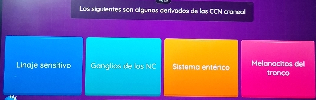 Los siguientes son algunos derivados de las CCN craneal
Linaje sensitivo Ganglios de los NC Sistema entérico Melanocitos del
tronco