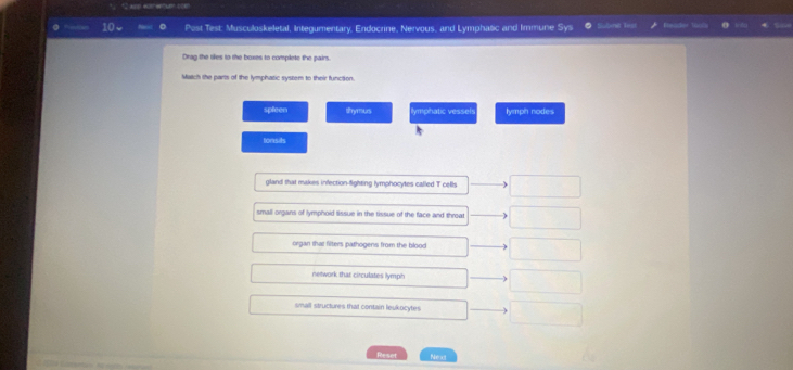 Post Test: Musculoskeletal, Integumentary, Endocrine, Nervous, and Lymphatic and Immune Sy Subnit liest
Drag the tikes to the boxes to complete the pairs.
Match the parts of the lymphatic system to their function.
spleen thymus llymphatic vessel lymph nodes
tonsits
gland that makes infection-fighting lymphocytes called T cells
small organs of lymphoid lissue in the tissue of the face and throat
organ that filters pathogens from the blood
network that circulates lymph
small structures that contain leukocytes
Reset Neas