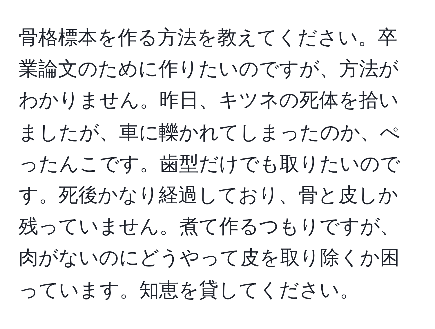 骨格標本を作る方法を教えてください。卒業論文のために作りたいのですが、方法がわかりません。昨日、キツネの死体を拾いましたが、車に轢かれてしまったのか、ぺったんこです。歯型だけでも取りたいのです。死後かなり経過しており、骨と皮しか残っていません。煮て作るつもりですが、肉がないのにどうやって皮を取り除くか困っています。知恵を貸してください。