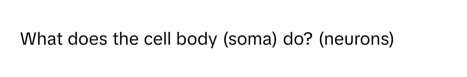 What does the cell body (soma) do? (neurons)