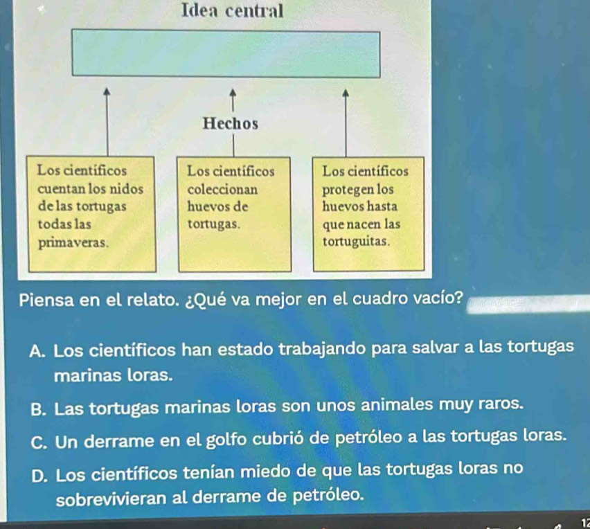 Idea central
A. Los científicos han estado trabajando para salvar a las tortugas
marinas loras.
B. Las tortugas marinas loras son unos animales muy raros.
C. Un derrame en el golfo cubrió de petróleo a las tortugas loras.
D. Los científicos tenían miedo de que las tortugas loras no
sobrevivieran al derrame de petróleo.
1