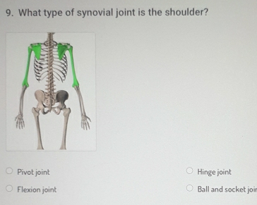 What type of synovial joint is the shoulder?
Pivot joint Hinge joint
Flexion joint Ball and socket joi