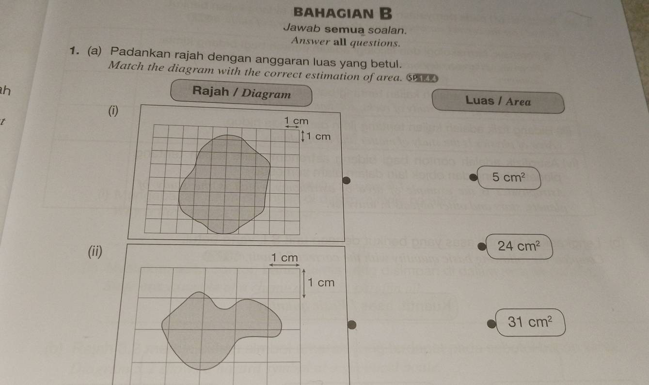 bahagian B 
Jawab semua soalan. 
Answer all questions. 
1. (a) Padankan rajah dengan anggaran luas yang betul. 
Match the diagram with the correct estimation of area. S 
h Rajah / Diagram Luas / Area 
(i) 
t 1 cm
1 cm
5cm^2
(ii)
24cm^2
1 cm
31cm^2