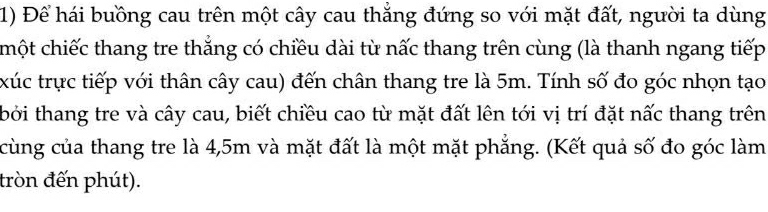 Để hái buồng cau trên một cây cau thắng đứng so với mặt đất, người ta dùng 
chột chiếc thang tre thắng có chiều dài từ nấc thang trên cùng (là thanh ngang tiếp 
xúc trực tiếp với thân cây cau) đến chân thang tre là 5m. Tính số đo góc nhọn tạo 
bởi thang tre và cây cau, biết chiều cao từ mặt đất lên tới vị trí đặt nấc thang trên 
cùng của thang tre là 4,5m và mặt đất là một mặt phẳng. (Kết quả số đo góc làm 
tròn đến phút).