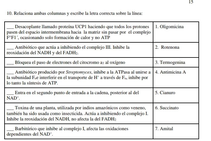 15
10. Relaciona ambas columnas y escribe la letra correcta sobre la línea:
dependientes del