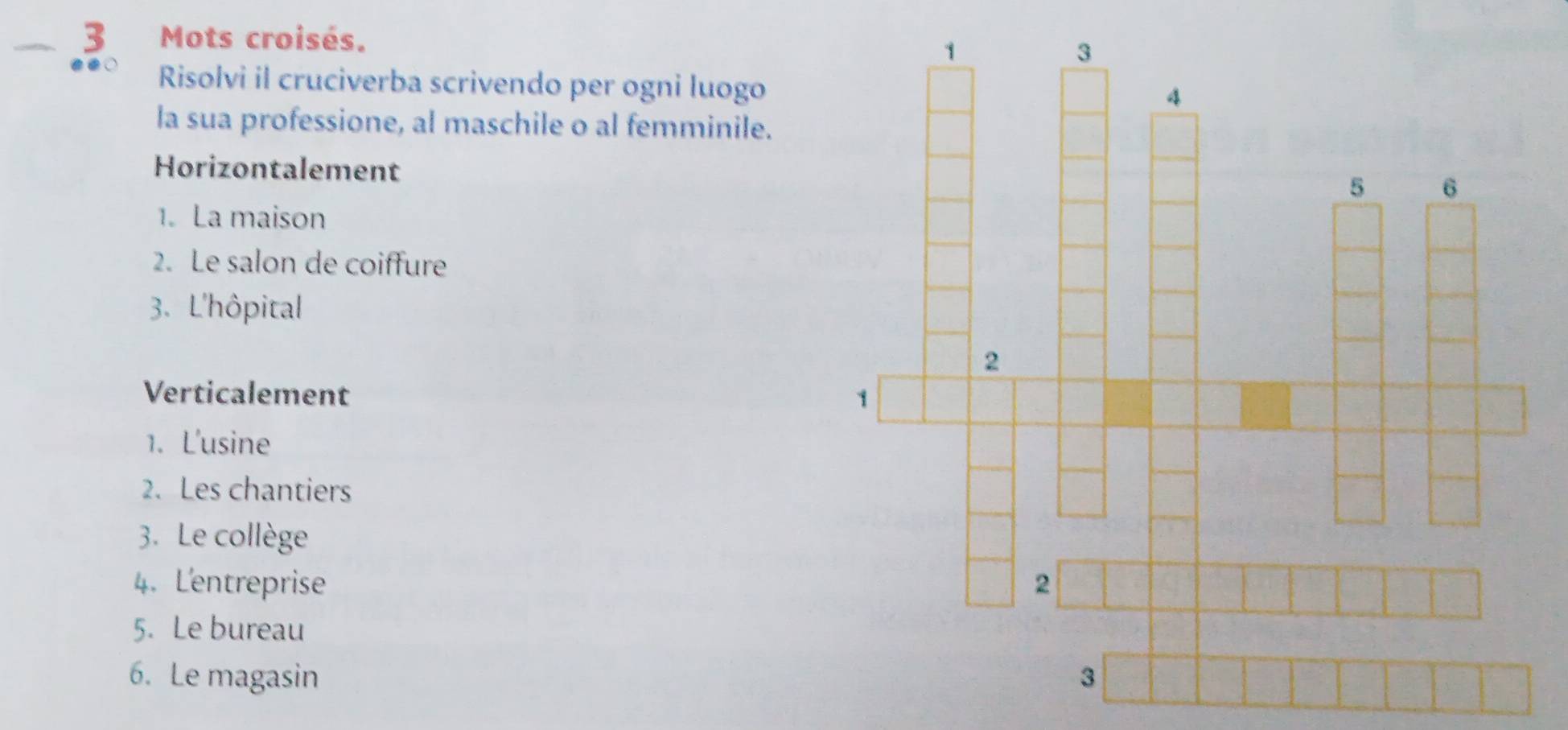 Mots croisés. 
Risolvi il cruciverba scrivendo per ogni luogo 
la sua professione, al maschile o al femminile. 
Horizontalement 
1. La maison 
2. Le salon de coiffure 
3. L'hôpital 
Verticalement 
1. L'usine 
2. Les chantiers 
3. Le collège 
4. Lentreprise 
5. Le bureau 
6. Le magasin