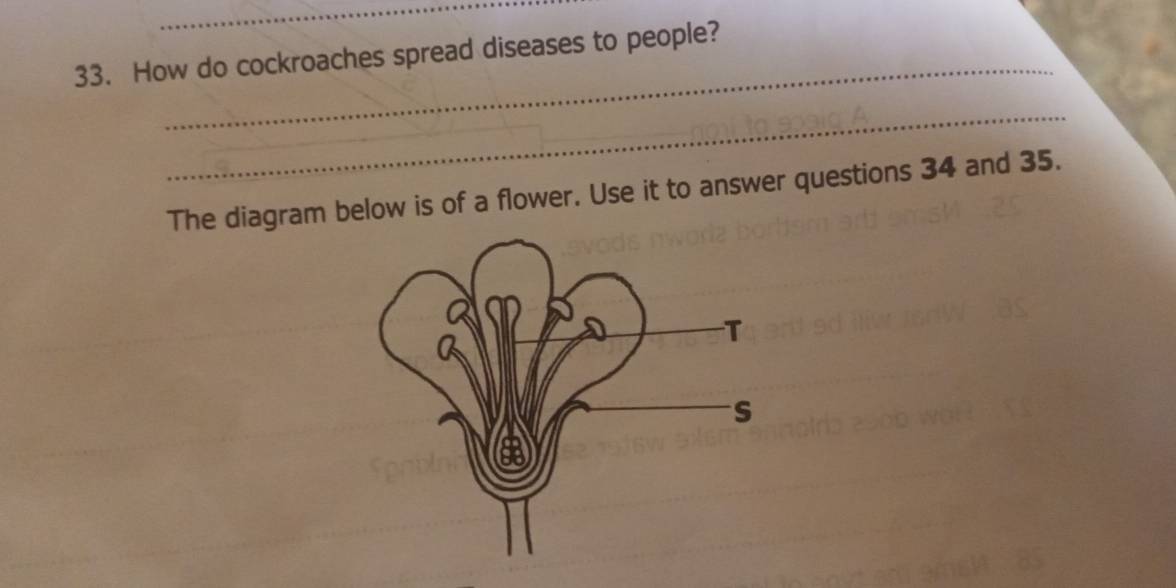 How do cockroaches spread diseases to people? 
_ 
The diagram below is of a flower. Use it to answer questions 34 and 35.