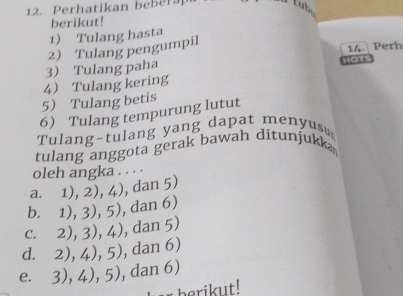 Perhatikan bebera
lub
berikut!
1) Tulang hasta
3) Tulang paha 2) Tulang pengumpil
14. Perh
4 Tulang kering HOTS
5 Tulang betis
6 Tulang tempurung lutut
Tulang-tulang yang dapat menyus
tulang anggota gerak bawah ditunjukka
oleh angka . . . .
a. 1),2),4) , dan 5)
b. 1),3),5) , dan 6)
C. 2),3),4) , dan 5)
d. 2),4),5) , dan 6)
e. 3),4),5) , dan 6)
berikut!