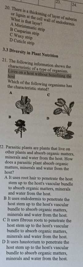 24
20. There is a thickening of layer of suberin
or lignin at the cell wall of endodermis.
What is that layer?
A Meristematic strip
B Casparian strip
C Waxy strip
D Cuticle strip
3.3 Diversity in Plant Nutrition
21. The following information shows the
characteristic of a type of organism.
Lives on a host without benefiting the
host
Which of the following organisms has
the characteristic stated?
A
C
B
D
22. Parasitic plants are plants that live on
other plants and absorb organic matters,
minerals and water from the host. How
does a parasitic plant absorb organic
matters, minerals and water from the
host?
A It uses root hair to penetrate the host
stem up to the host's vascular bundle
to absorb organic matters, minerals
and water from the host.
B It uses endodermis to penetrate the
host stem up to the host's vascular
bundle to absorb organic matters,
minerals and water from the host.
C It uses fibrous roots to penetrate the
host stem up to the host's vascular
bundle to absorb organic matters,
minerals and water from the host.
D It uses haustorium to penetrate the
host stem up to the host's vascular
bundle to absorb organic matters,
minerals and water from the host.