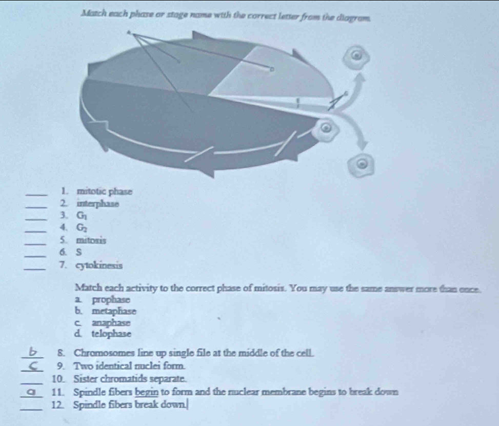 Match each phase or stage name with the correct letter from the diagram.
_1. mitotic phase
_2. interphase
_3. G_1
_4. G_2
_
5. mitoris
_
6. S
_7. cytokinesis
Match each activity to the correct phase of mitosis. You may use the same answer more than once
a. prophase
b. metaphase
c anaphase
d. telophase
_8. Chromosomes line up single file at the middle of the cell.
_9. Two identical nuclei form.
_10. Sister chromatids separate.
_11. Spindle fibers begin to form and the nuclear membrane begins to break down
_12. Spindle fibers break down.