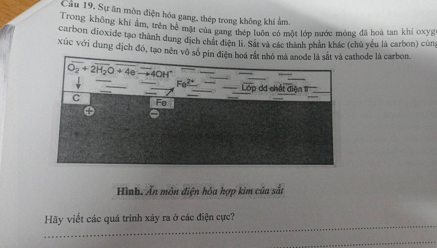 Sự ăn mòn điện hóa gang, thép trong không khí ẩm, 
Trong không khí ẩm, trên bề mặt của gang thép luôn có một lớp nước mỏng đã hoà tan khí oxyg 
carbon dioxide tạo thành dung dịch chất điện li. Sắt và các thành phần khác (chủ yếu là carbon) cùng 
xúc với dung dịch đó, tạo nên vô số pin điện hoá rất nhỏ mà anode là sắt và cathode là carbon. 
_
overline O_2+overline 2H_2O+overline 4e 40 nH 
Fe 
Lớp dđ chất điện 11 
C 
Fe 
Hình. Ấn mòn điện hỏa hợp kim của sắt 
_ 
Hãy viết các quá trình xảy ra ở các điện cực? 
_