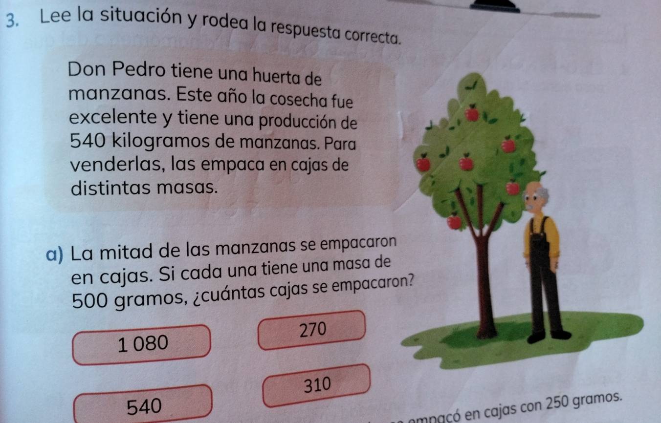 Lee la situación y rodea la respuesta correcta.
Don Pedro tiene una huerta de
manzanas. Este año la cosecha fue
excelente y tiene una producción de
540 kilogramos de manzanas. Para
venderlas, las empaca en cajas de
distintas masas.
a) La mitad de las manzanas se empacaron
en cajas. Si cada una tiene una masa de
500 gramos, ¿cuántas cajas se empacaron?
1 080 270
310
540
emnacó en cajas con 250 gramos.