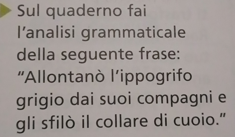 Sul quaderno fai 
l’analisi grammaticale 
della seguente frase: 
'Allontanò l’ippogrifo 
grigio dai suoi compagni e 
gli sfilò il collare di cuoio.”