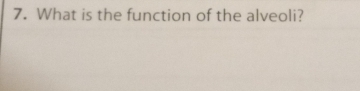 What is the function of the alveoli?