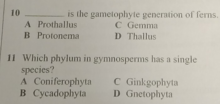 10 _is the gametophyte generation of ferns.
A Prothallus C Gemma
B Protonema D Thallus
11 Which phylum in gymnosperms has a single
species?
A Coniferophyta C Ginkgophyta
B Cycadophyta D Gnetophyta