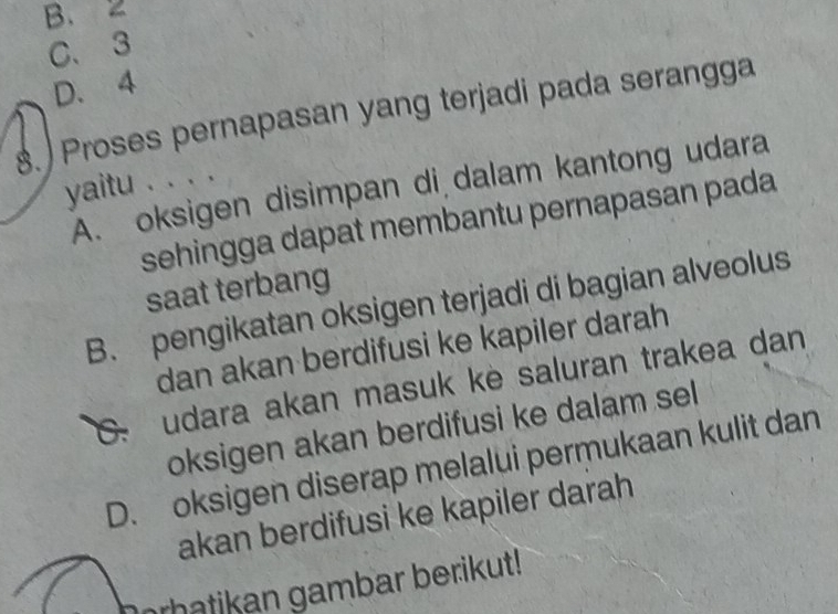 B.
C、 3
D. 4
8. ) Proses pernapasan yang terjadi pada serangga
yaitu . . . .
A. oksigen disimpan di dalam kantong udara
sehingga dapat membantu pernapasan pada
saat terbang
B. pengikatan oksigen terjadi di bagian alveolus
dan akan berdifusi ke kapiler darah
C. udara akan masuk kè saluran trakea dan
oksigen akan berdifusi ke dalam sel
D. oksigen diserap melalui permukaan kulit dan
akan berdifusi ke kapiler darah
rhatikan gambar berikut!