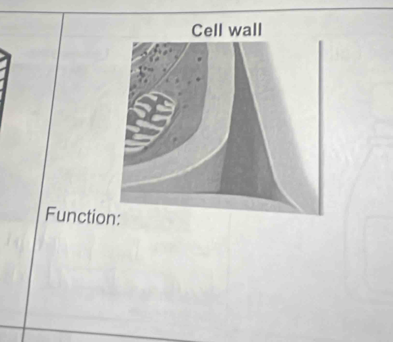 Functio