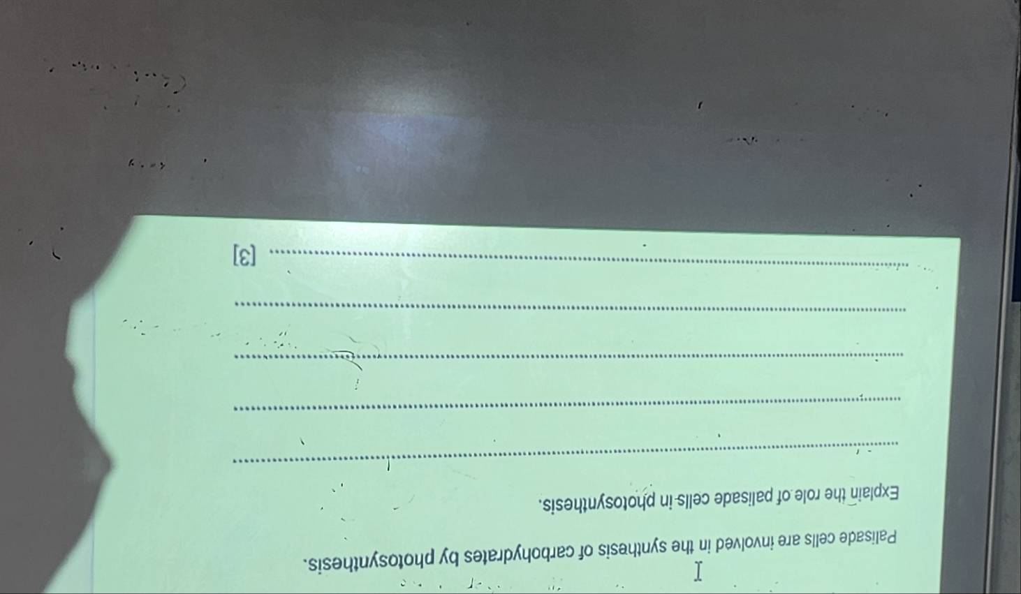 Palisade cells are involved in the synthesis of carbohydrates by photosynthesis. 
Explain the role of palisade cells in photosynthesis. 
_ 
_ 
_ 
_ 
_ 
[3]