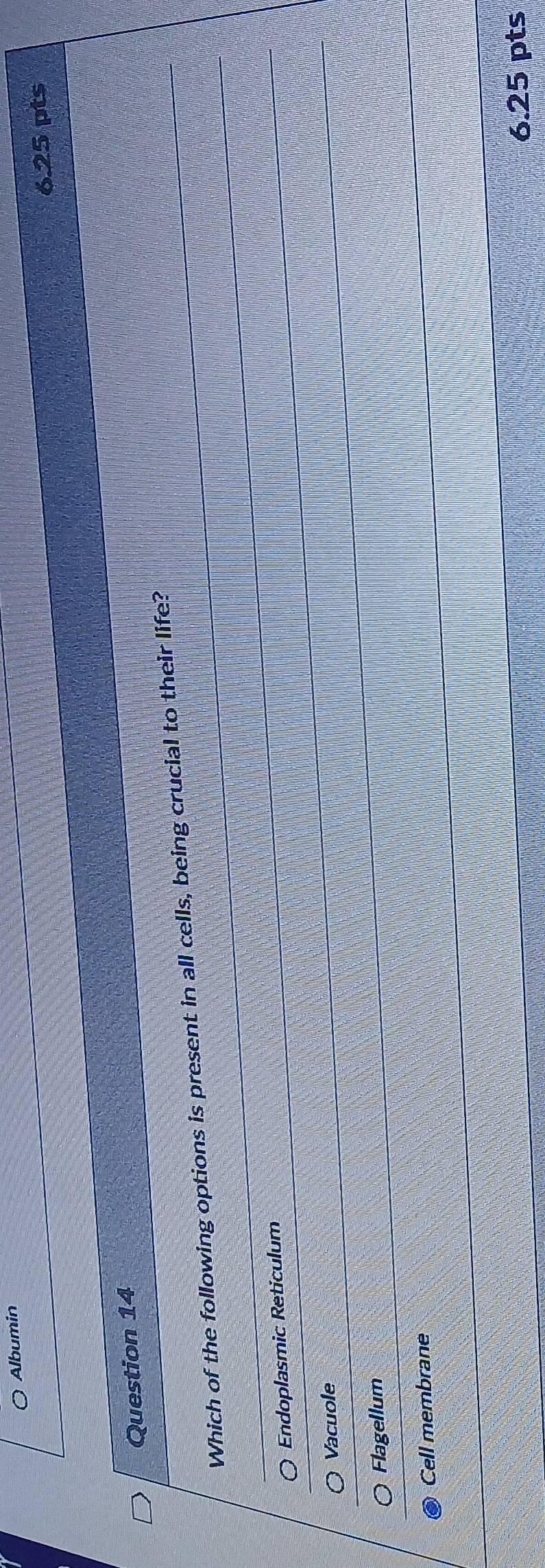 Albumin
6.25 pts
Question 14
Which of the following options is present in all cells, being crucial to their life?
Endoplasmic Reticulum
Vacuole
Flagellum
Cell membrane
6.25 pts