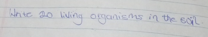 Write ao living organisms in the soi.