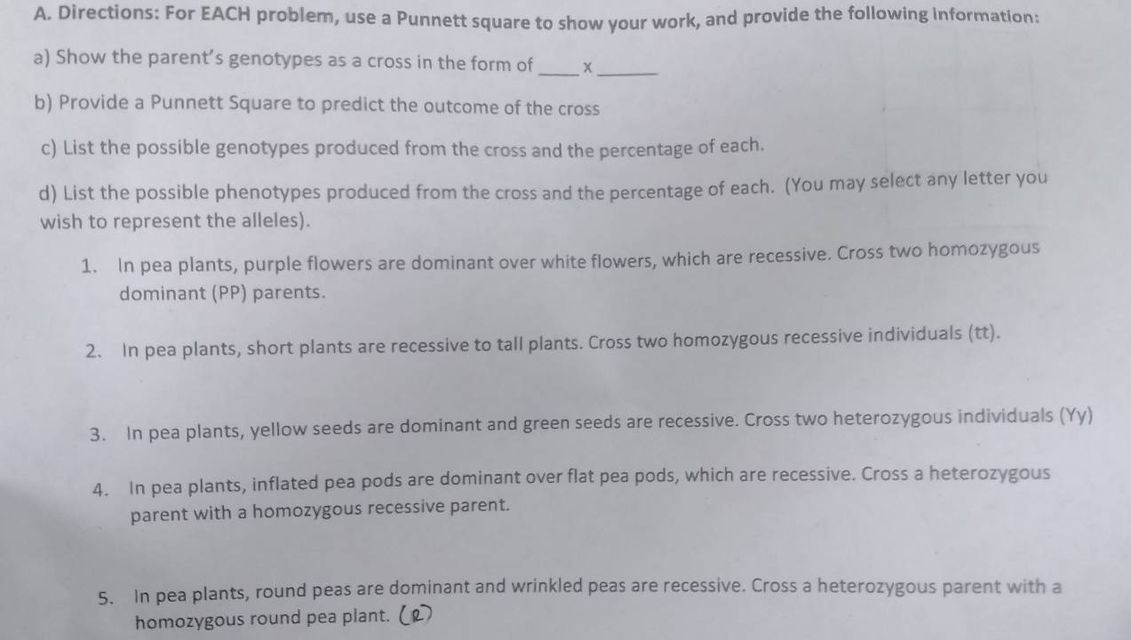 Directions: For EACH problem, use a Punnett square to show your work, and provide the following information: 
__ 
a) Show the parent’s genotypes as a cross in the form of 
b) Provide a Punnett Square to predict the outcome of the cross 
c) List the possible genotypes produced from the cross and the percentage of each. 
d) List the possible phenotypes produced from the cross and the percentage of each. (You may select any letter you 
wish to represent the alleles). 
1. In pea plants, purple flowers are dominant over white flowers, which are recessive. Cross two homozygous 
dominant (PP) parents. 
2. In pea plants, short plants are recessive to tall plants. Cross two homozygous recessive individuals (tt). 
3. In pea plants, yellow seeds are dominant and green seeds are recessive. Cross two heterozygous individuals (Yy) 
4. In pea plants, inflated pea pods are dominant over flat pea pods, which are recessive. Cross a heterozygous 
parent with a homozygous recessive parent. 
5. In pea plants, round peas are dominant and wrinkled peas are recessive. Cross a heterozygous parent with a 
homozygous round pea plant.