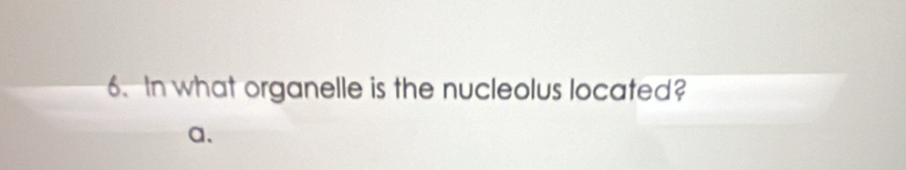 In what organelle is the nucleolus located? 
a.