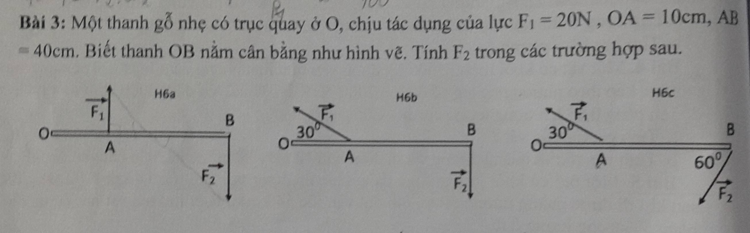 Một thanh gỗ nhẹ có trục quay ở O, chịu tác dụng của lực F_1=20N,OA=10cm,AB
=40cm. Biết thanh OB nằm cân bằng như hình vẽ. Tính F_2 trong các trường hợp sau.
H6a
F_1
B
0
A
Fvector 2