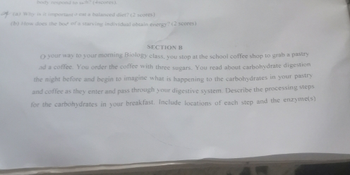 hoity respond to sch ' (4spores) 
(a) Why is it important o cat a balanced diet? (2 scores) 
(b) How does the boo of a starving individual obtain energy? (2 scores) 
SECTION B 
O your way to your moring Biology class. you stop at the school coffee shop to grab a pastry 
ad a coffee. You order the coffee with three sugars. You read about carbohydrate digestion 
the night before and begin to imagine what is happening to the carbohydrates in your pastry 
and coffee as they enter and pass through your digestive system. Describe the processing steps 
for the carbohydrates in your breakfast. Include locations of each step and the enzyme(s)