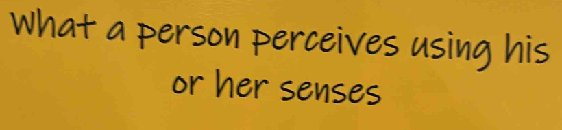 What a person perceives using his 
or her senses