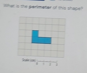 What is the parimeter of this shape?