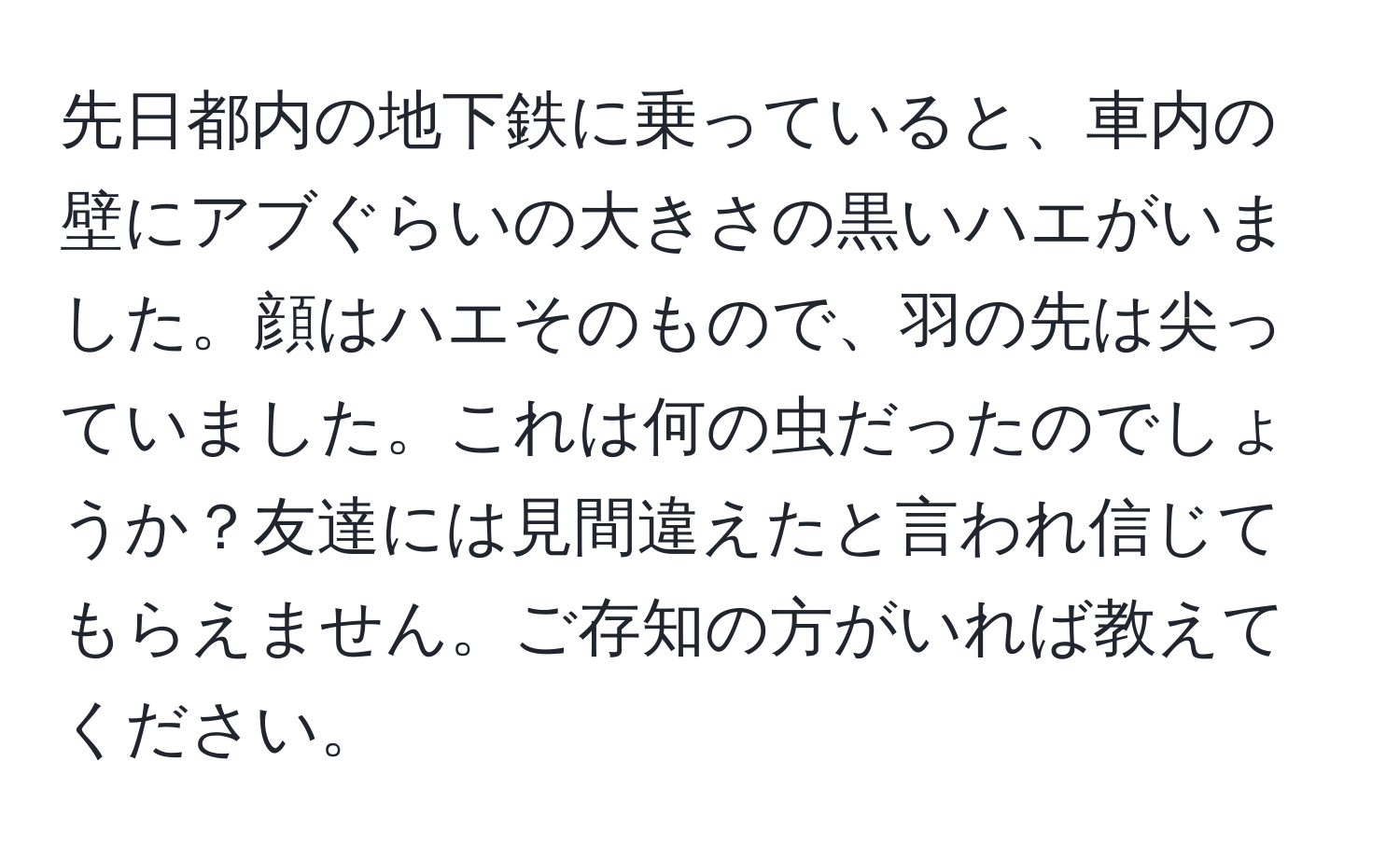 先日都内の地下鉄に乗っていると、車内の壁にアブぐらいの大きさの黒いハエがいました。顔はハエそのもので、羽の先は尖っていました。これは何の虫だったのでしょうか？友達には見間違えたと言われ信じてもらえません。ご存知の方がいれば教えてください。