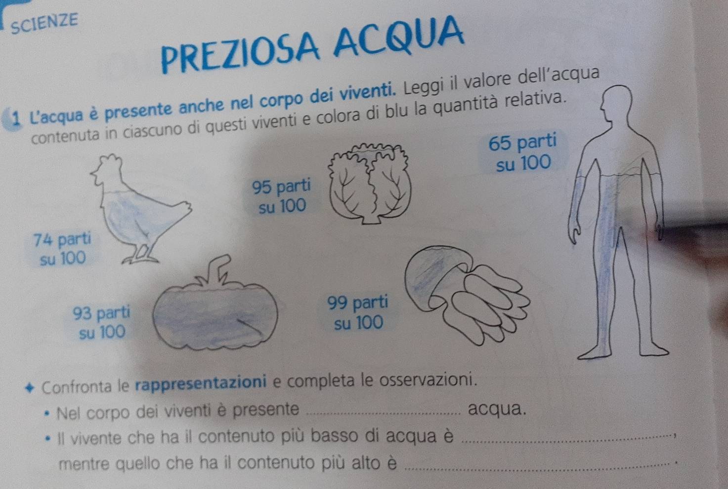 SCIENZE 
PREZIOSA ACQUA 
1 L'acqua è presente anche nel corpo dei viventi. Leggi il valore dell'acqua 
o di questi viventi e colora di blu la quantità relativa. 
Confronta le rappresentazioni e completa le osservazioni. 
Nel corpo dei viventi è presente _acqua. 
Il vivente che ha il contenuto più basso di acqua è_ 
. , 
mentre quello che ha il contenuto più alto è_ 
.